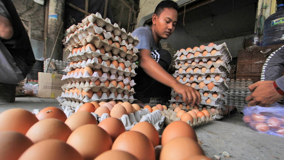 Harga Telur di Jakarta Hari Ini Capai Rp30 Ribu/Kg