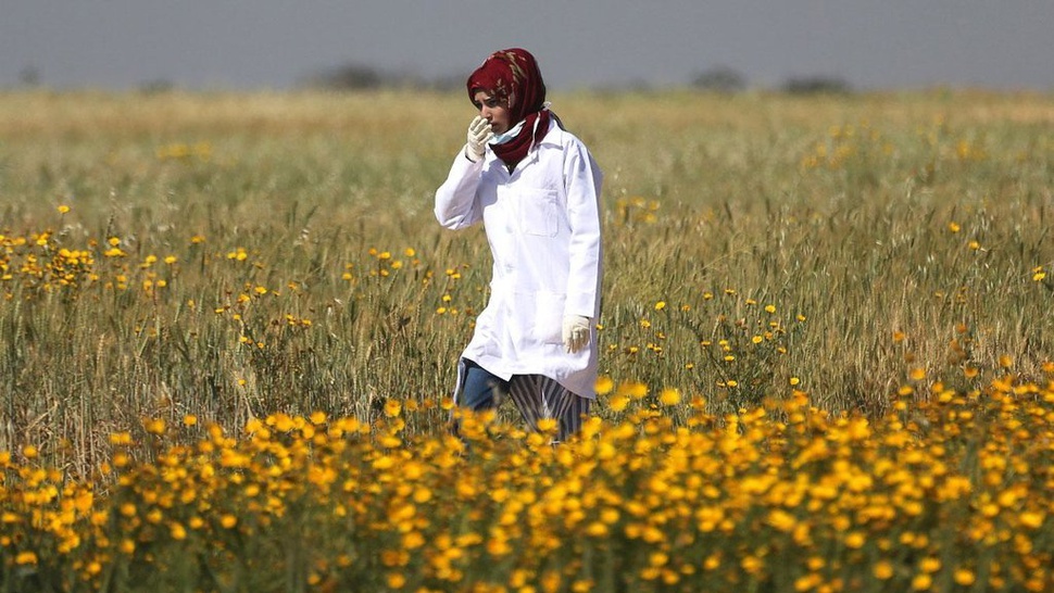 Israel Selidiki Penembakan Paramedis Palestina Razan Najjar di Gaza