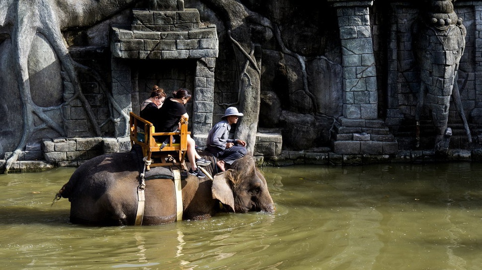 Bali Zoo: Lokasi & Harga Tiket Wisata Saat Liburan Imlek 2023