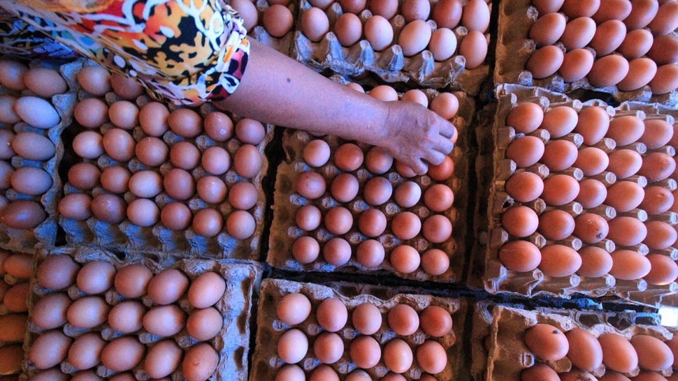 Harga Telur di Madiun Capai Rp27 Ribu per Kg Sejak 2 Pekan Lalu