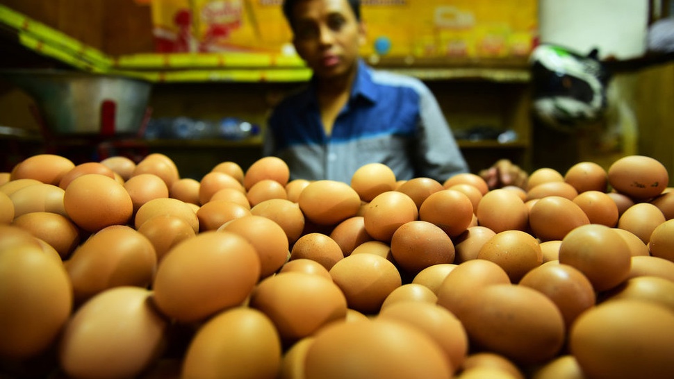 Harga Telur Ayam di Mataram Naik Pekan Ini