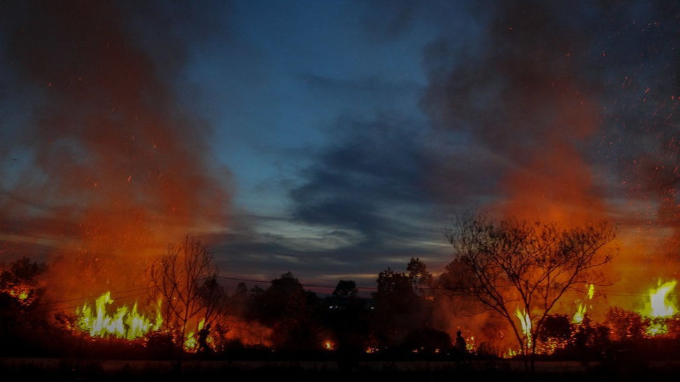 4 Hektare Hutan di Lereng Gunung Gajah Aceh Hangus Terbakar 