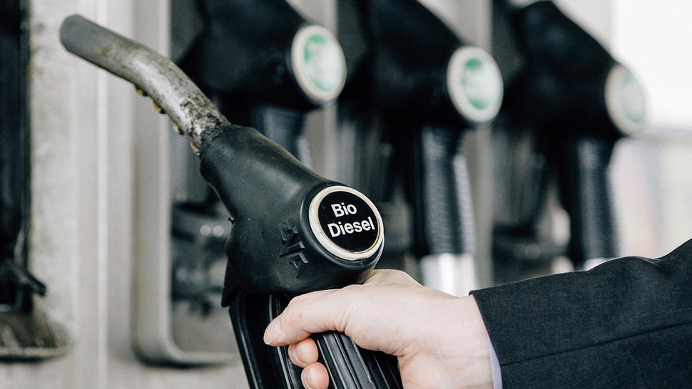 Biodiesel RI Terancam Bea Masuk Anti-Subsidi Hingga 18 Persen di UE