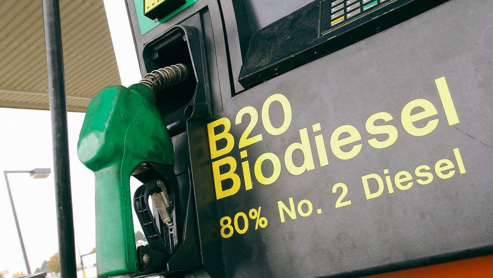 RI Khawatir Eropa Hambat Usulan Biofuel Jadi Bauran Energi di G20