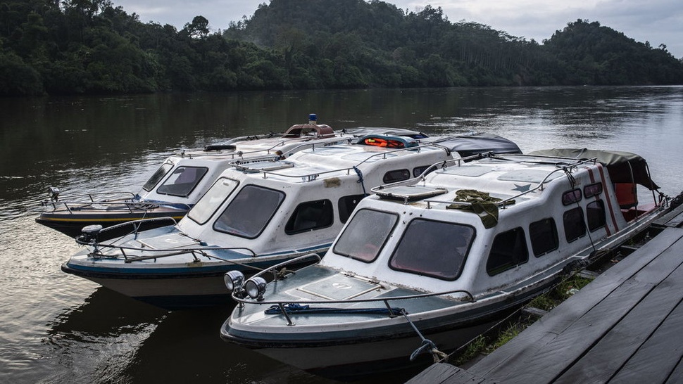 Pakar Sebut Angkutan Sungai Tak Aman di Kalimantan Perlu Perhatian