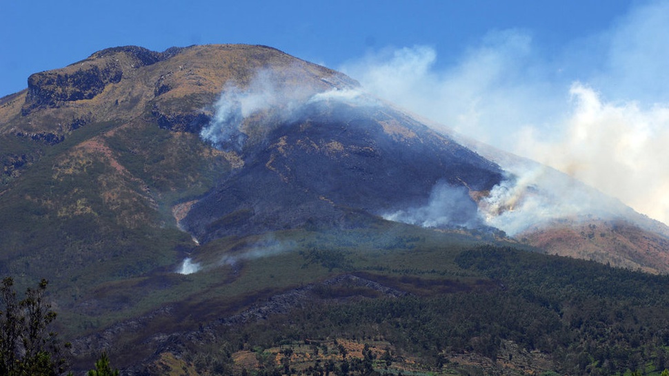 Kebakaran Gunung Sindoro Hanguskan 9,5 Hektare Lahan