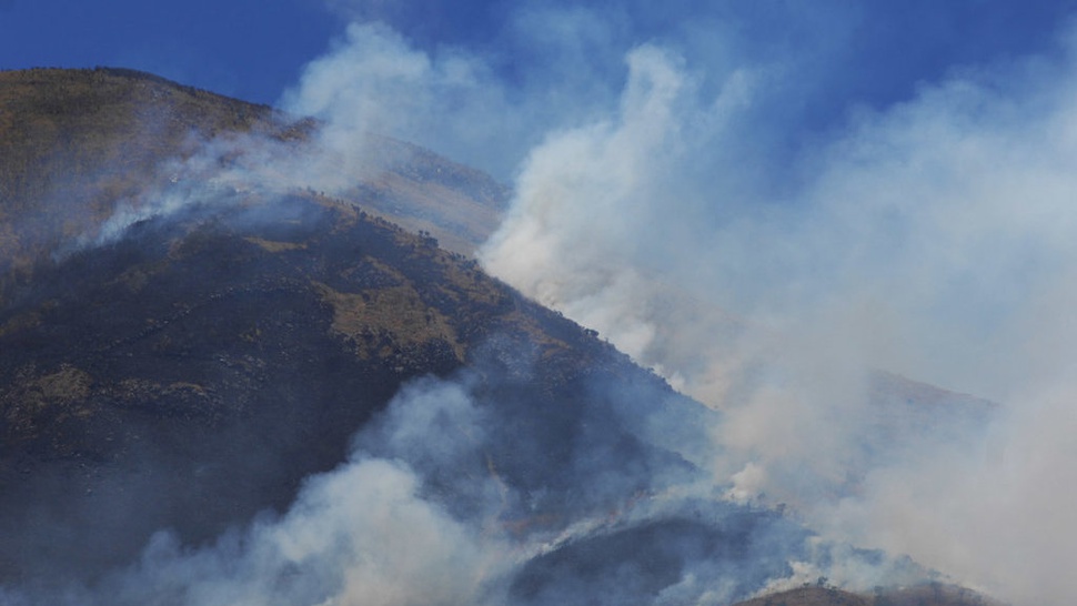 Kebakaran Hutan Gunung Sindoro