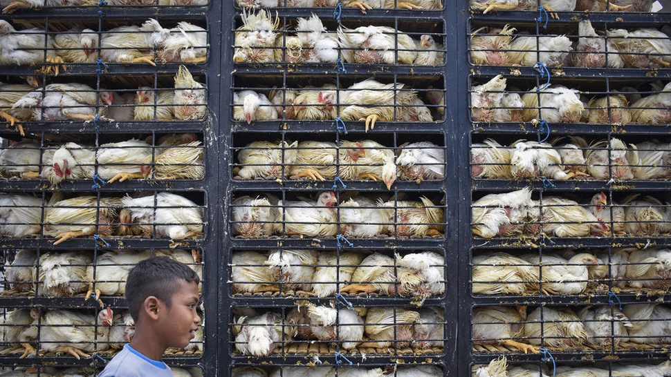 Brasil Laporkan Indonesia ke WTO, Pengamat: Ada Kelemahan di Permen