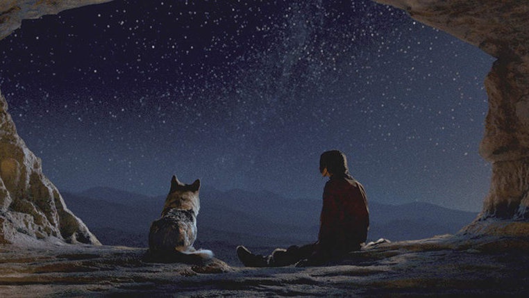 Sinopsis Film Alpha, Awal Mula Persahabatan Manusia dan Anjing