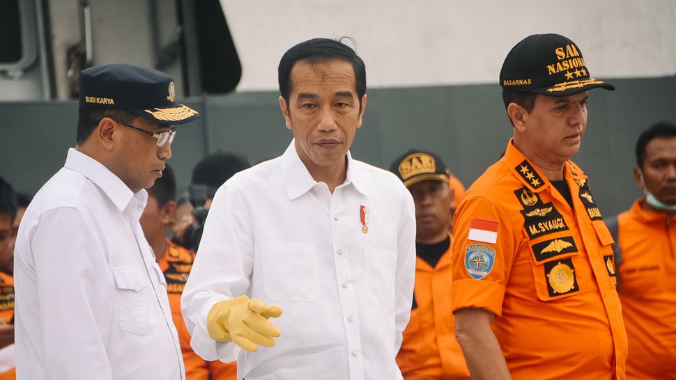Presiden Jokowi Minta KNKT Cari Tahu Penyebab Kecelakaan Lion Air