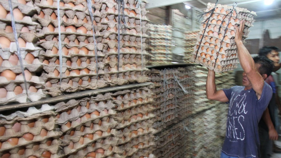 Ramadan Harga Telur Fluktuatif, Bulog: Belum Perlu Operasi Pasar
