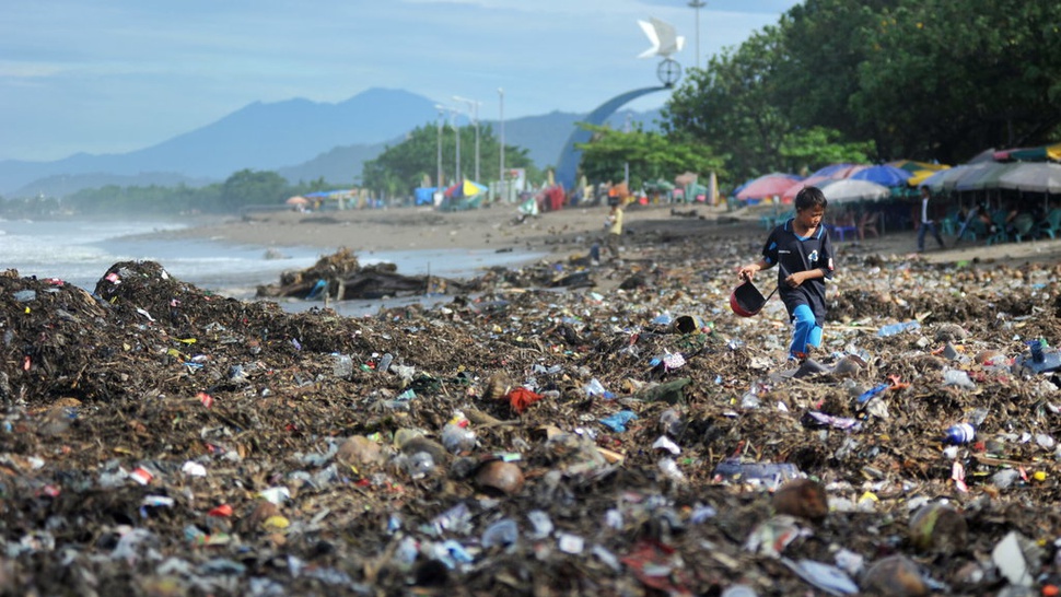 Cumi Bisa Jadi Solusi Kurangi Polusi Sampah Plastik