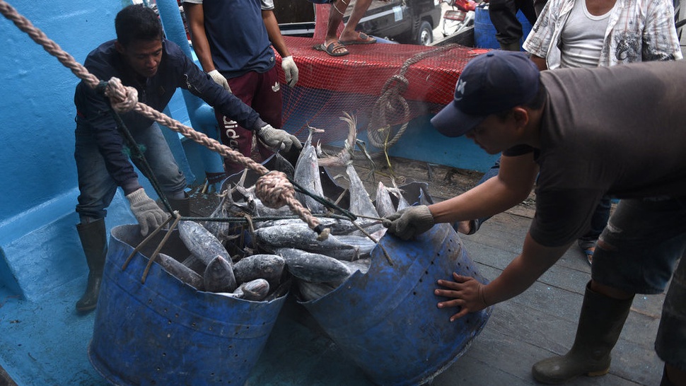 Ikan Tuna Hasil Tangkapan Nelayan Menurun
