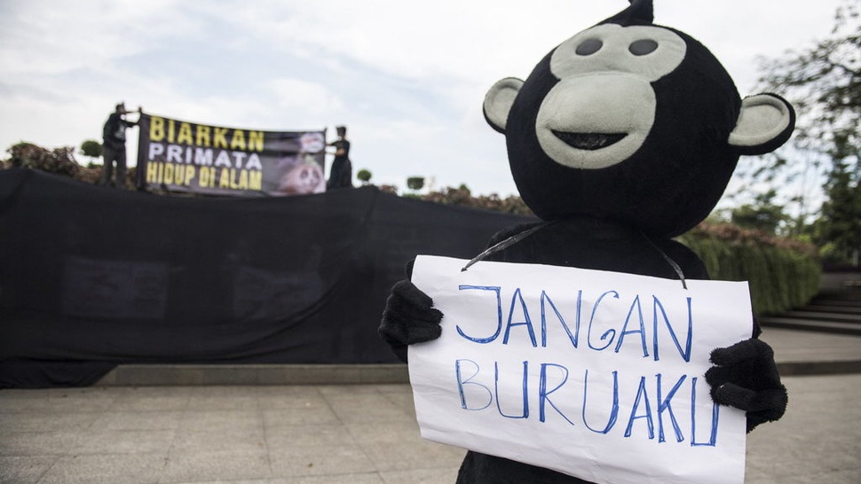 Indonesia Butuh Strategi Khusus Hentikan Laju Kepunahan Primata