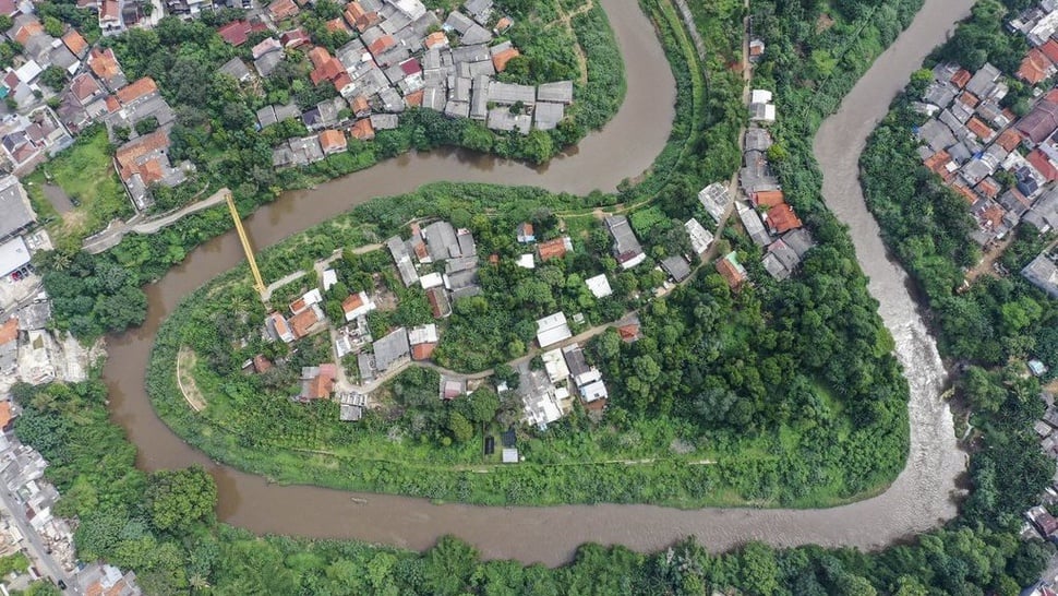 1.100 Pohon di Bantaran Sungai Ciliwung Terlilit Sampah Plastik