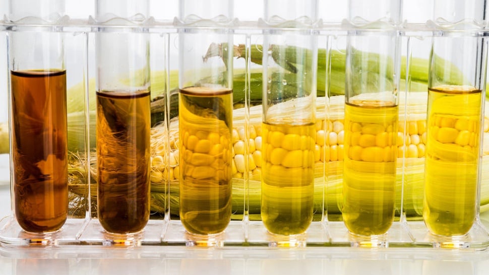 Tanggapi METI Soal Kendala EBT, BPN: Prioritas Tertinggi Biofuel