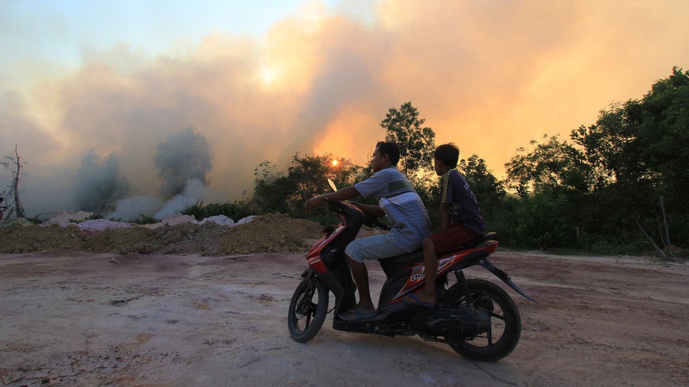 Kebakaran Hutan & Lahan di Riau Meluas Hingga 1.136 Hektare