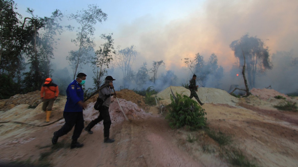 Kebakaran Hutan di Riau Semakin Meluas