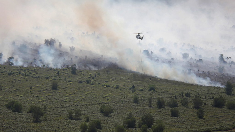 Kebakaran Hutan dan Lahan di Riau Capai 1.761 Hektare
