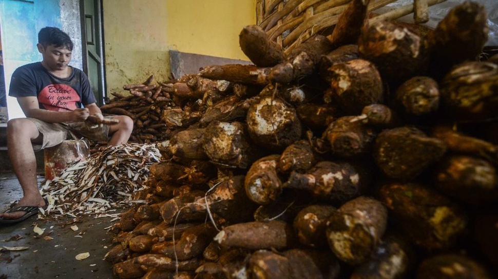 Omzet Pedagang Singkong Melonjak Seiring Naiknya Harga Beras