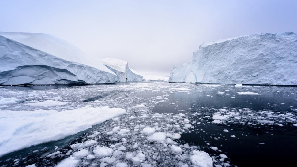 Dampak Mencairnya Es di Kutub Akibat Pemanasan Global
