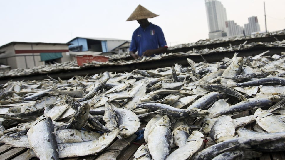 Sejarah Ikan Asin di Indonesia: Sudah Ada Sejak Zaman Mataram Kuno