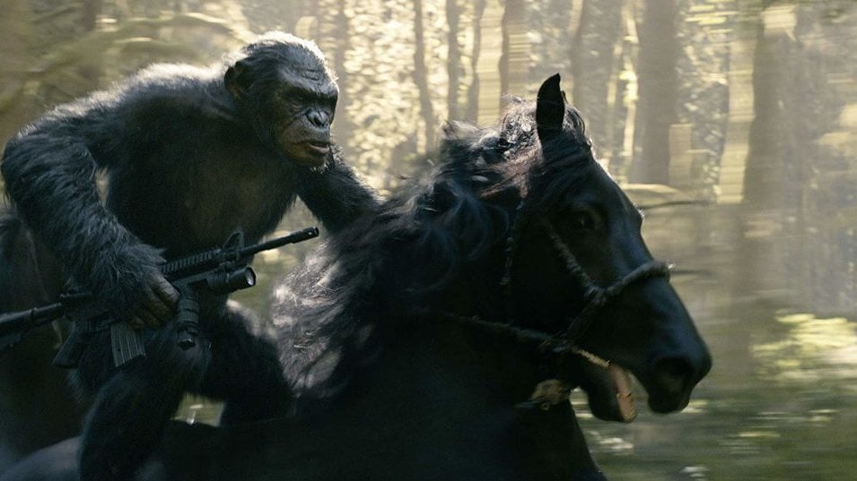 Sinopsis War for the Planet of the Apes yang Tayang di Global TV