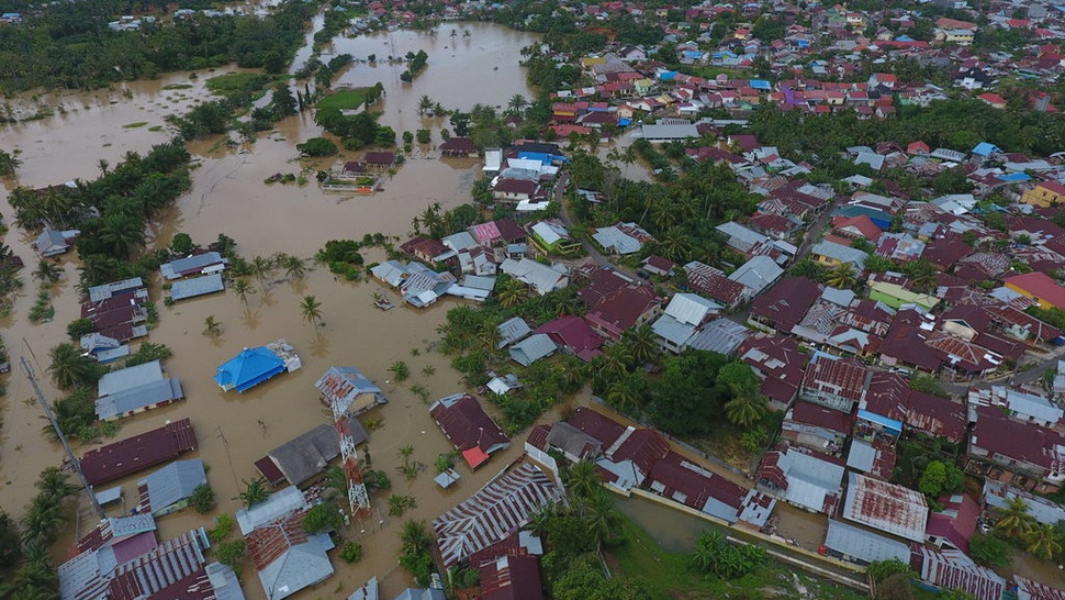 Data Sementara BNPB: 8 Daerah di Bengkulu Terdampak Banjir