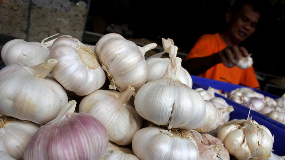 Bisakah Indonesia Menghilangkan Kecanduan Impor Bawang Putih?