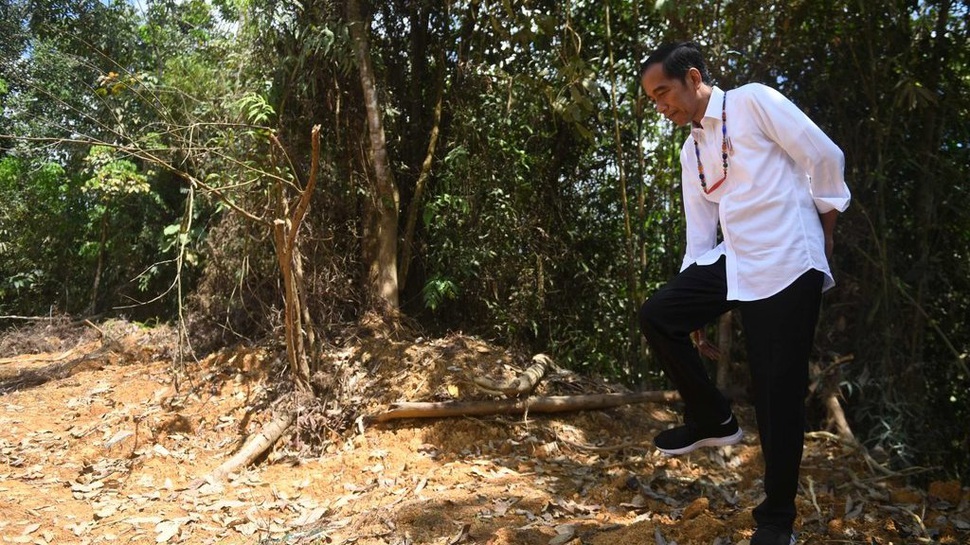 Bahaya Spekulan Tanah di Balik Pengumuman Jokowi Soal Ibu Kota Baru