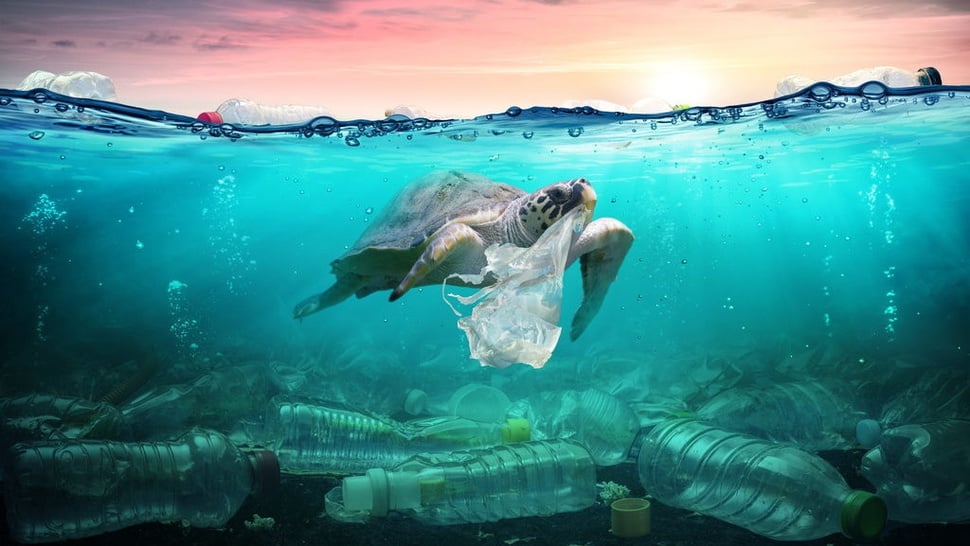 Pantai di Kepulauan Samudra Hindia Dipenuhi Ratusan Ton Plastik