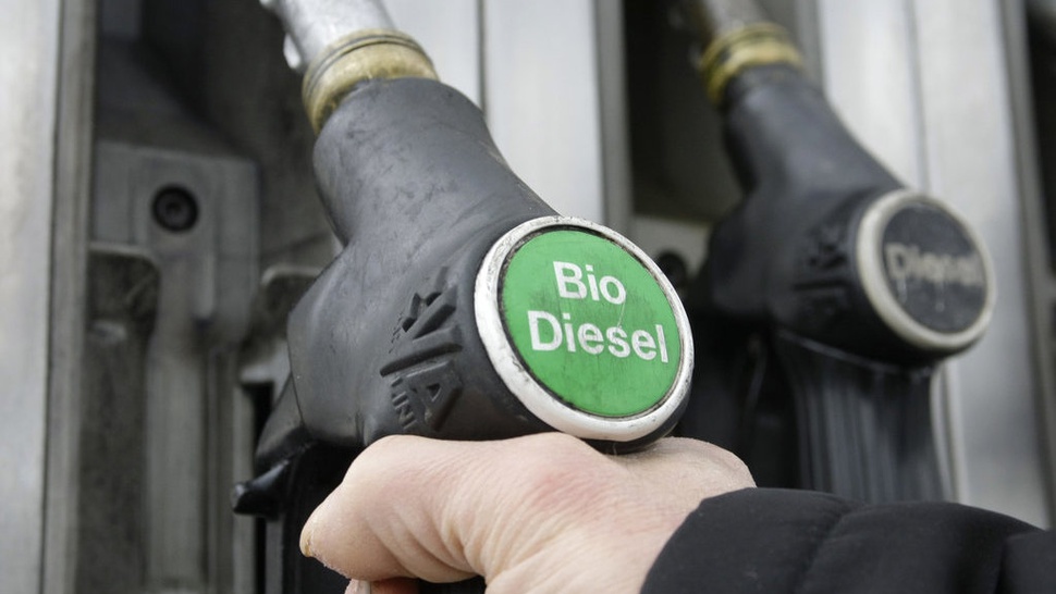 Mulai 1 Februari, RI Pakai Biodiesel B35: Bisa Kurangi Impor BBM