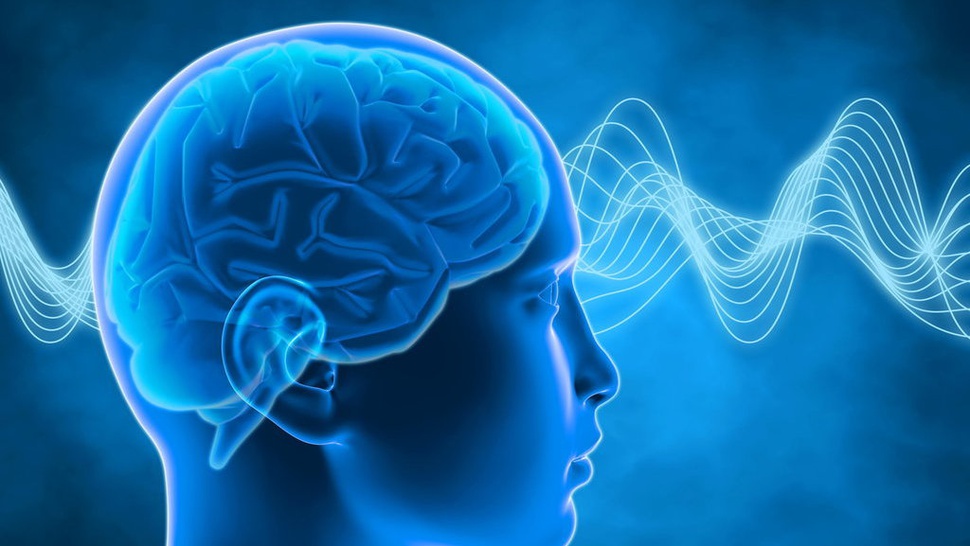 Bagaimana Cara Otak Menciptakan Kesadaran & Kenapa Bisa Terjadi?