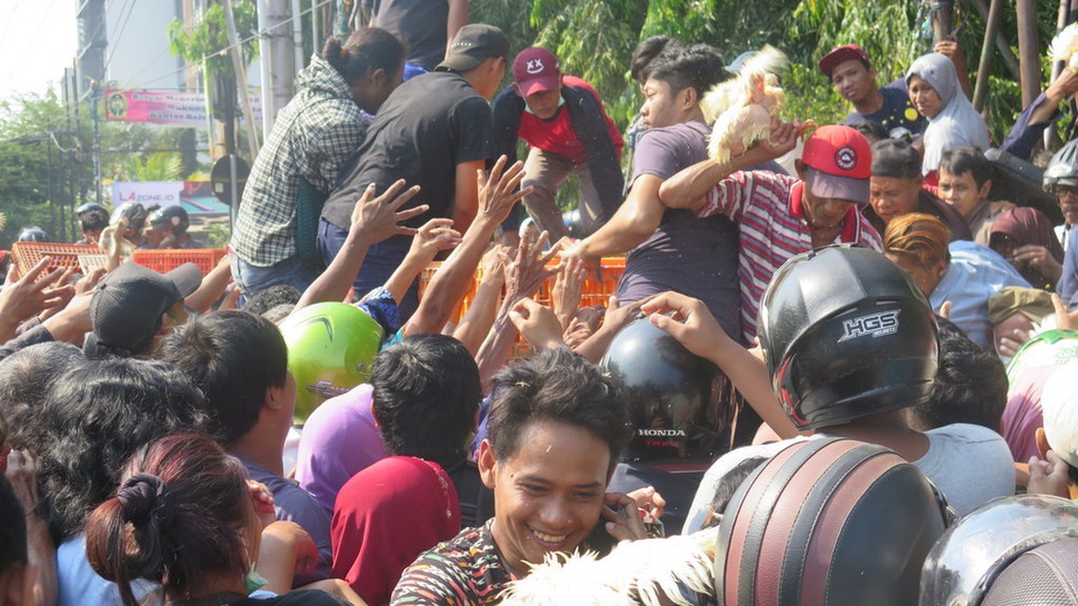 Warga Berdesakan Berebut Pembagian Ayam Gratis di Yogyakarta