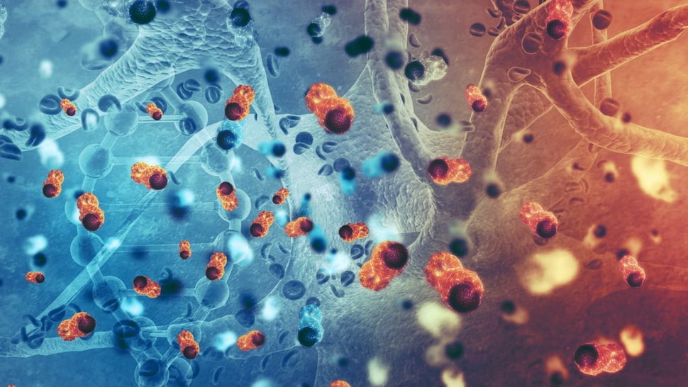Mengenal HPV: Penyebab Kanker Serviks yang Bisa Menyerang Pria