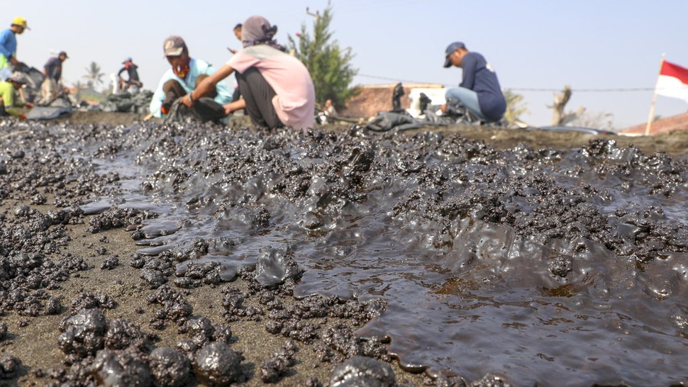 KKP: Tumpahan Minyak di Karawang Berdampak ke Ikan, Udang dan Garam