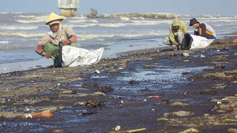 Pertamina Ajak Warga Bersihkan Pantai Terdampak Tumpahan Minyak