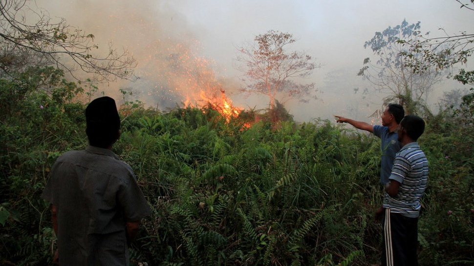 126 Hektare Lahan Terbakar di Aceh sepanjang Oktober 2021