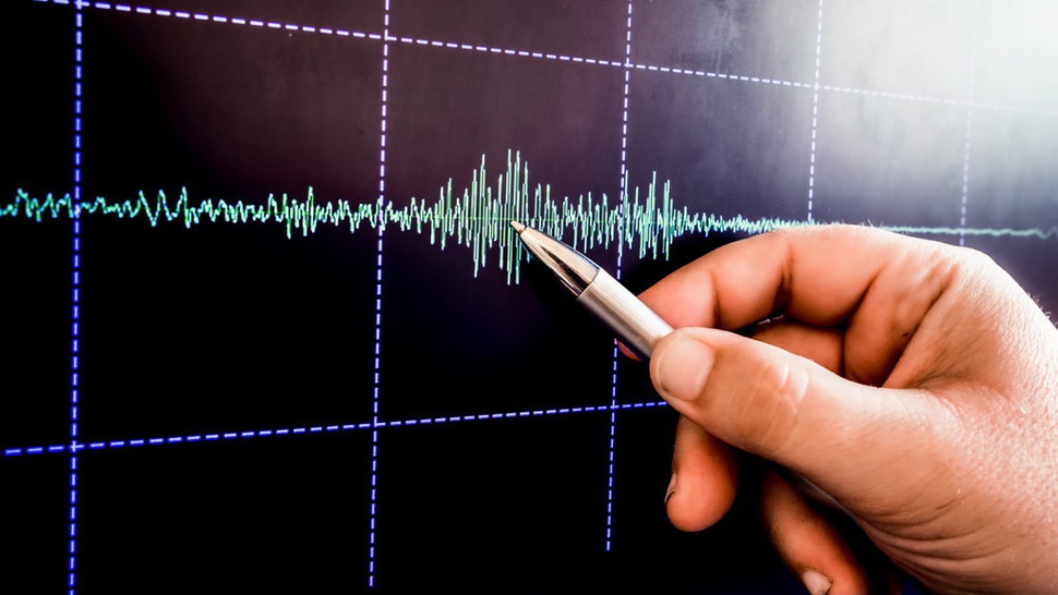 BMKG: Sorong Diguncang Gempa 75 Kali dalam Sehari