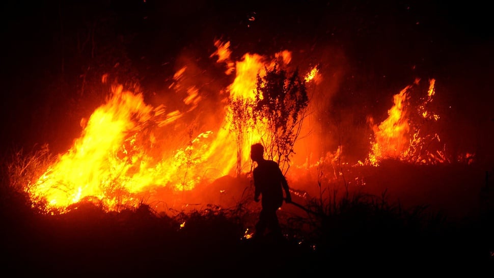 Kebakaran Hutan dan Lahan di Sumatera