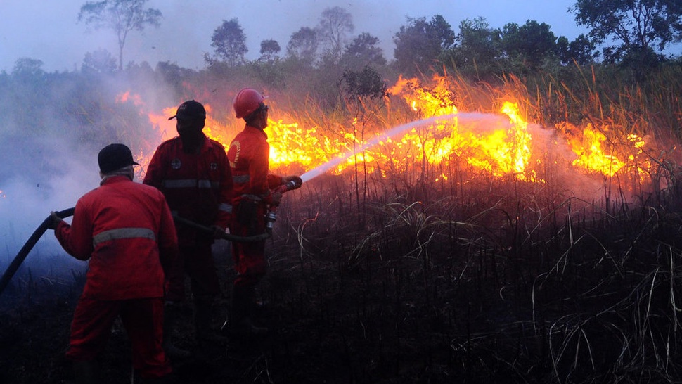2019/08/07/antarafoto-kebakaran-hutan-sumsel-060719-ap-3.jpg