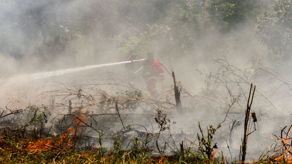 Kemenkes: 9.630 Warga Alami ISPA Akibat Karhutla di Riau