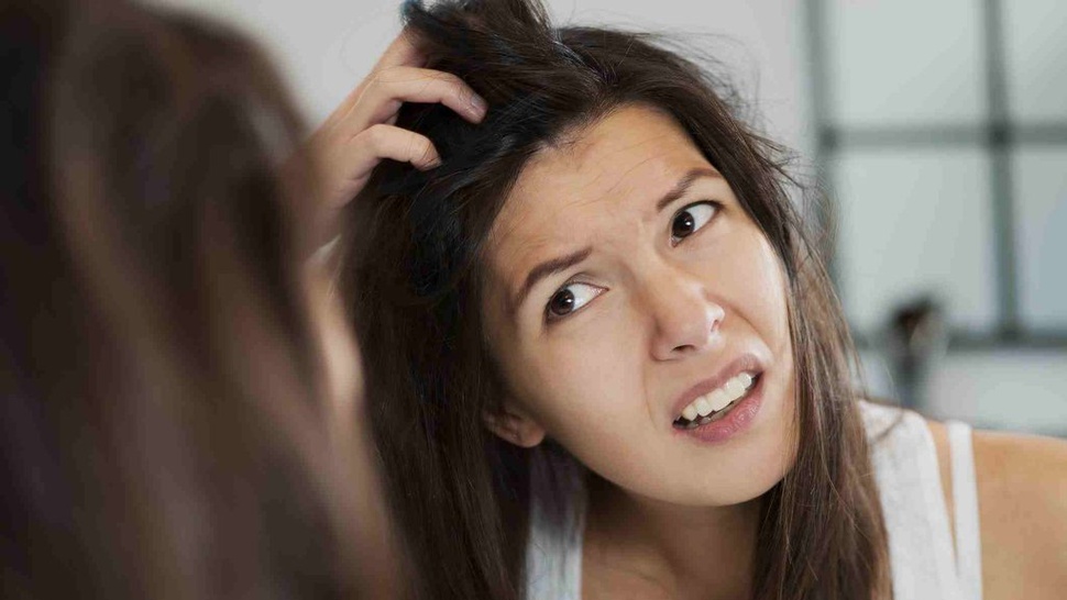 Mitos Seputar Kutu Rambut: Benarkah Bisa Sebabkan Infeksi?