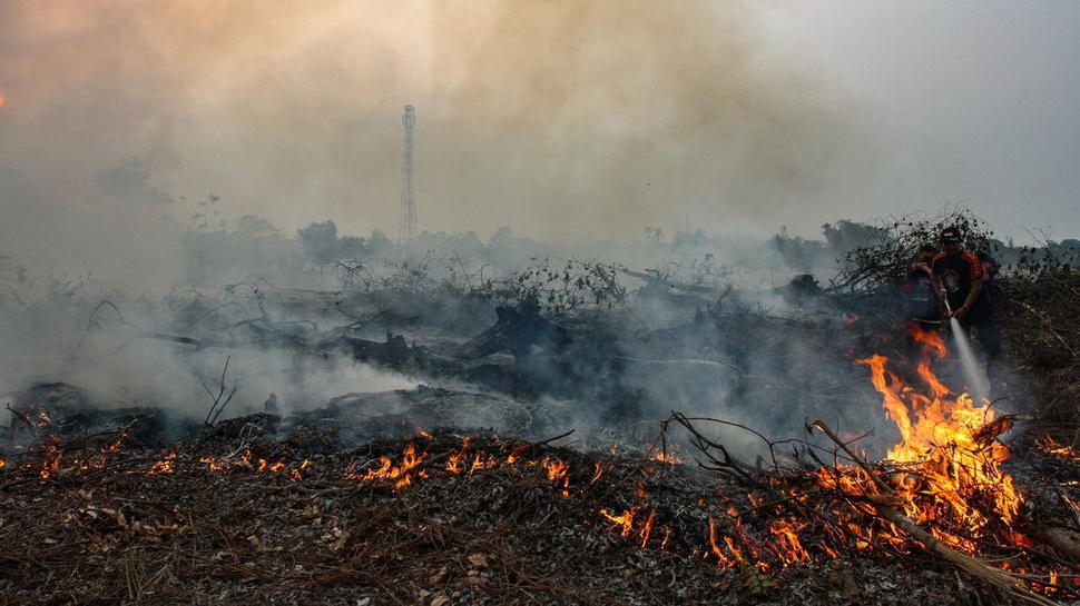 Karhutla Riau: 27 Titik Api Kategori Tinggi Terdeteksi