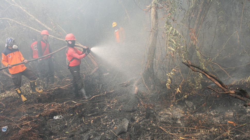BMKG Sebut 11 Titik Panas Karhutla Masih Kepung Pesisir Riau