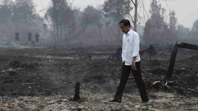 Tersangka Karhutla di Sumatera dan Kalimantan Jadi 218 Orang