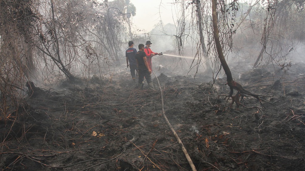 Apa Itu Karhutla yang Sebabkan Kabut Asap di Sumatera & Kalimantan?