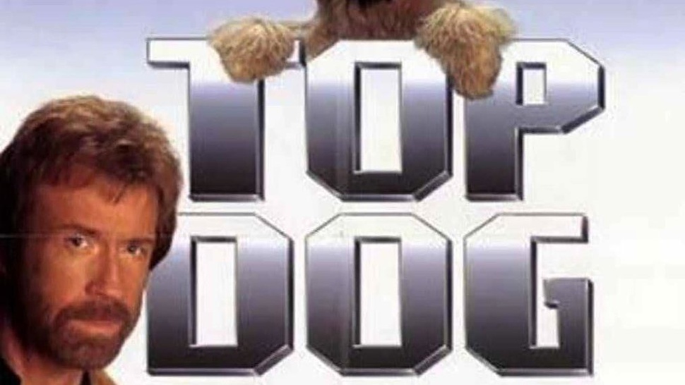 Sinopsis Top Dog: Film Chuck Norris & Anjing Reno di Trans TV