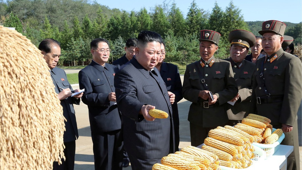 Apa yang Terjadi Jika Kim Jong-un Benar-Benar Meninggal?