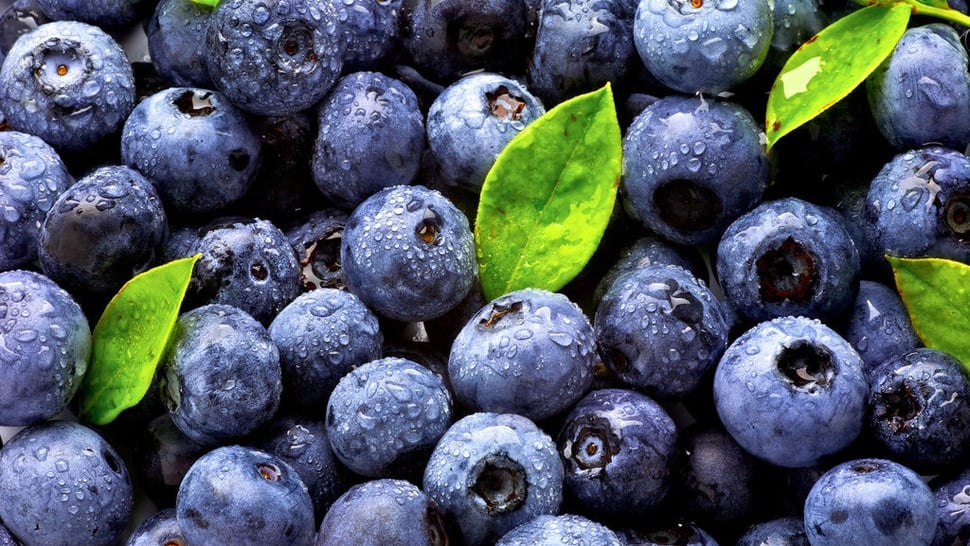 Manfaat Blueberry Cegah Kanker sampai Solusi Turunkan Lemak
